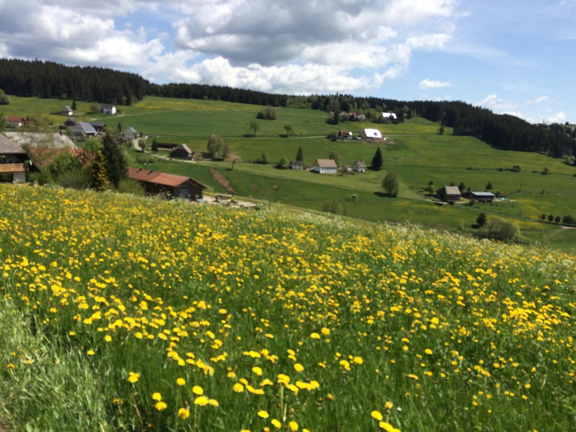 Ferienhaus Robin Titisee-Neustadt Luaran gambar
